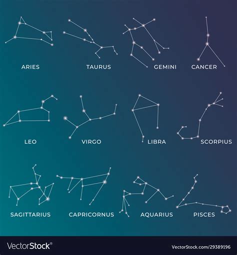 Zodiac Constellations Horoscope And Astrology Vector Image