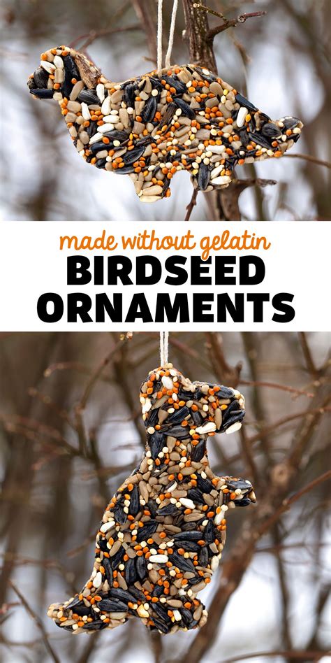 How To Make Birdseed Ornaments Without Gelatin Bird Seed Ornaments