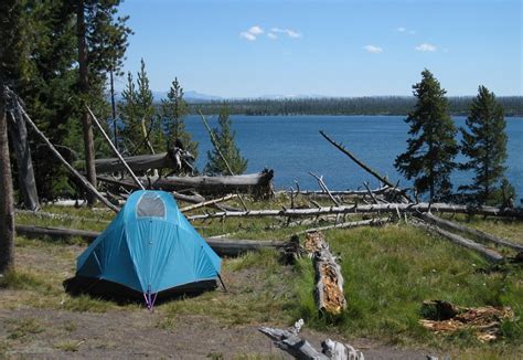 무료 이미지 경치 자연 황야 모험 휴양 장비 기어 미국 캠핑 라이프 스타일 텐트 나무 옥외 와이오밍