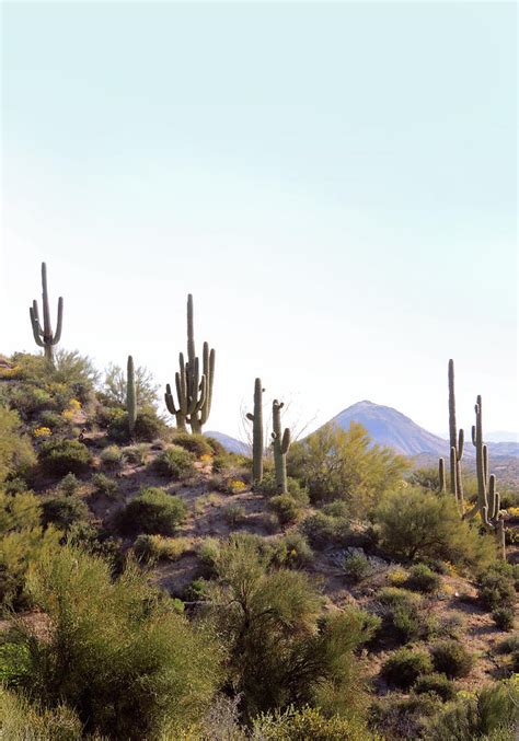 Desert Skyline Photograph By Gordon Beck Fine Art America