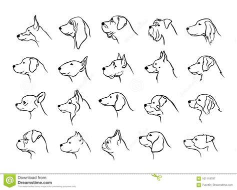 How To Draw A Dog Head Easy Step By Step Cats Blog