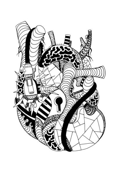 Anatomical Heart Human Heart Coloring Pages Elshirazy Coloring Pages