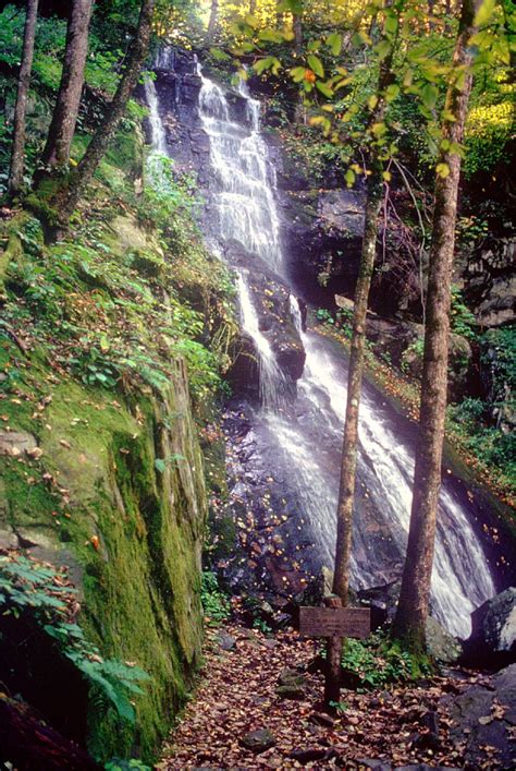 Hen Wallow Falls Great Smoky Mountains National Park Smoky Mountain