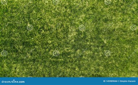 Aerial Green Grass Texture Background Natural Turf Arkivfoto Bild