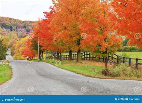 Beautiful Country Road In Autumn Foliage Stock Photo Image Of Nature