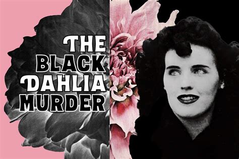 The Black Dahlia Murder About The Mysterious And Brutal Unsolved Crime From 1947 Click Americana