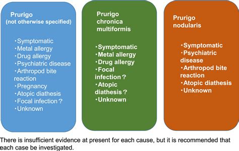2020 Guidelines For The Diagnosis And Treatment Of Prurigo Satoh