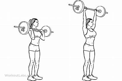Barbell Press Shoulder Standing Exercise Workoutlabs Guide