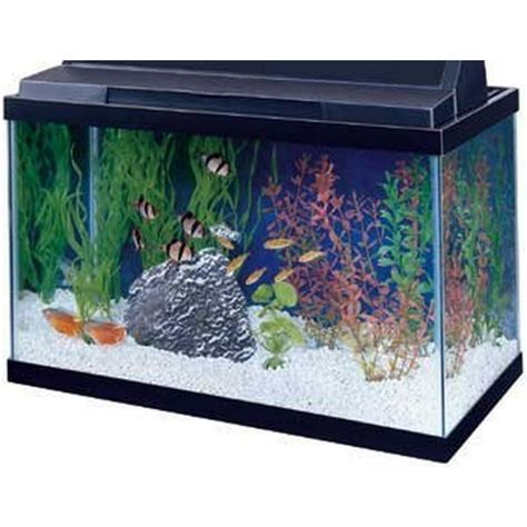 All Glass Aquarium Aag10015 Tank Black 15 Gallon Pack Of 1 Walmart