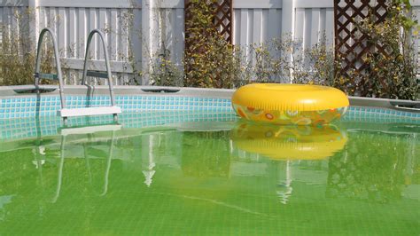 Mustard Algae In A Pool Simple Steps To Get Rid Of It Gardeningetc