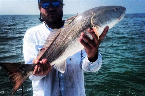 Exclusive Fishing Charters Is One Of The Very Best Things To Do In