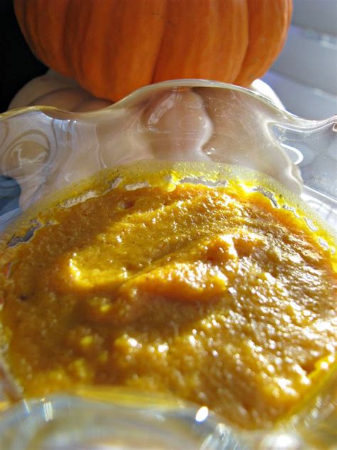 Pumpkin Pudding Recipe Gluten Free Paleo Gaps Diet