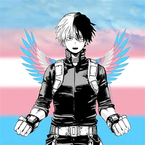 Shoto Todoroki Trans Transgender Lgbt Lgbtq Pride Mha Bhna My Hero