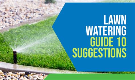 Lawn Watering Guide 10 Suggestions Green Valley Irrigation Ltd Toronto