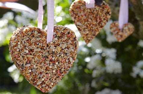 How To Make A Bird Feeder Goodtoknow