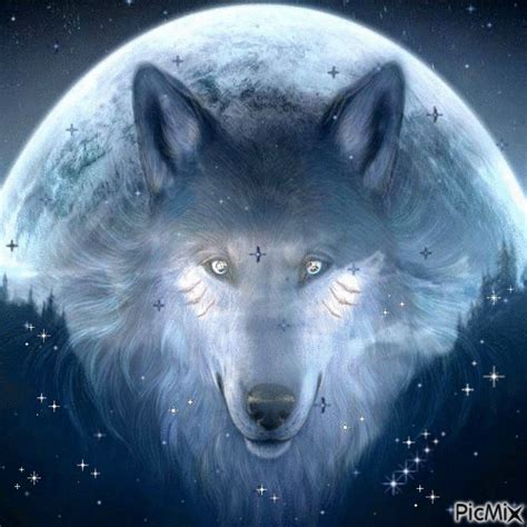 You will definitely choose from a huge number of pictures that option that will suit you exactly! Épinglé par Snow sur GIF Animated Animals, Birds, Fish | Fond d'écran loup, Esprit du loup, Loup ...