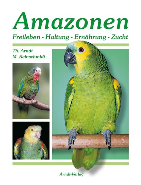 Discover and buy electronics, computers, apparel & accessories, shoes, watches, furniture, home and kitchen goods, beauty & personal care, grocery, gourmet food & more. Arndt/Reinschmidt: Amazonen Band 1 | Bücher