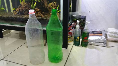 15 jenis ikan aquascape lengkap dengan harga. Cara Membuat CO2 DIY untuk Aquascape Ragul dan Cisod