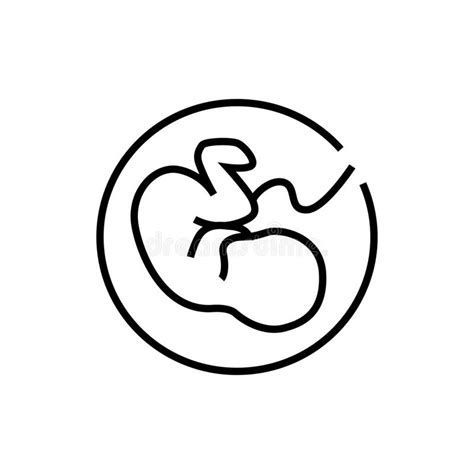 Growth Fetus Development Icon Pregnancy Vector Illustration Isolated