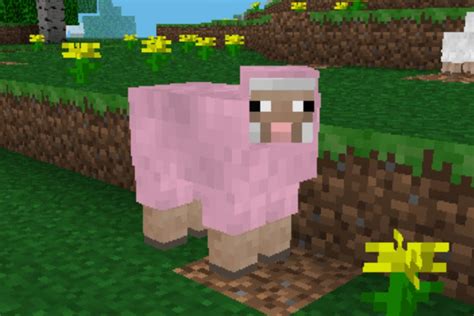 Pink Sheep That I Found In Minecraft Pe Minecraft Sheep Minecraft Crafts Pink Sheep