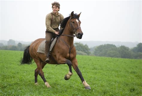 ‘war Horse Directed By Steven Spielberg Review The New York Times
