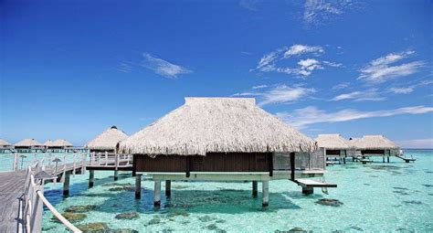 King Premium Overwater Bungalow With Panoramic View Hilton Moorea
