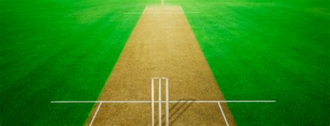 Artificial Grass For Cricket Pitch Brisbane Gold Coast Logan