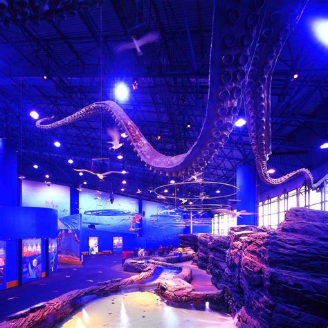 Mission And Associates Ltd Marine Life Aquarium Interior And Exhibition
