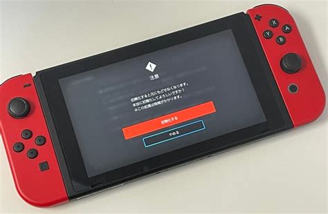 れん様専用 Nintendo Switch 任天堂スイッチ 初期化済み 黒