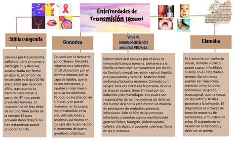 Mapa conceptual Enfermedades de Transmisión Sexual ASTRID NALLELY