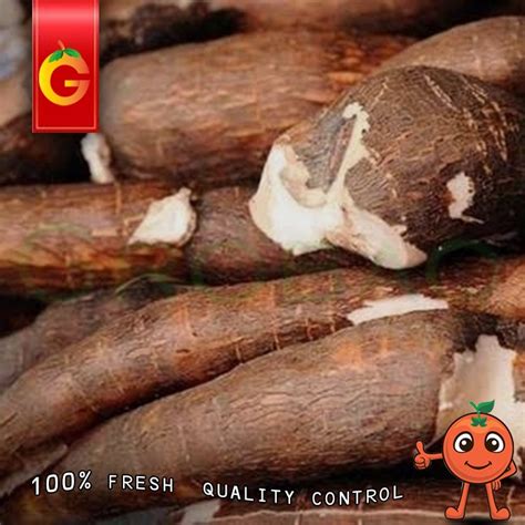 Jual Singkong Fresh Pulen Kg Shopee Indonesia