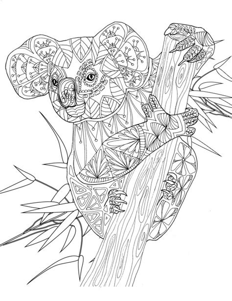 Koala Amazing Animals Colouring Pages By Joenay Inspirations