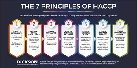 7 Principles Of Haccp The 7 Principles Of Haccp Stock Illustration