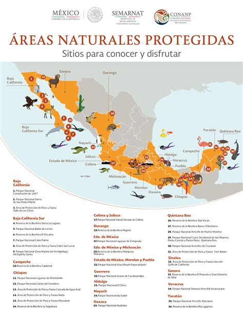 Areas Naturales Protegidas En Mexico Mapa Conceptual Shibaswap