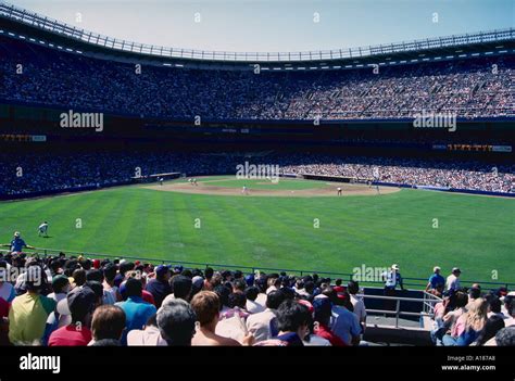 Baseball Game View From Crowd Hi Res Stock Photography And Images Alamy