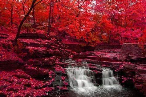 Red Falls Waterfall Forest Photography Red Fall
