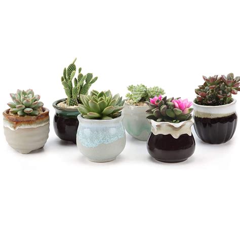 Small Ceramic Succulent Pots With Drainage Set Of 6 Mini Pots For