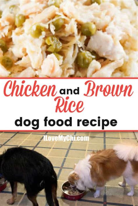 Chicken And Brown Rice Dog Food Recipe I Love My Chi