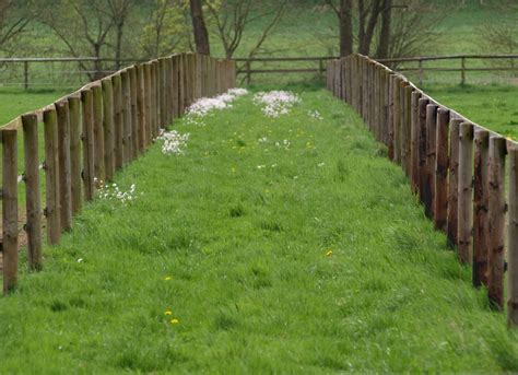 Free Images Landscape Tree Path Plant Trail Bridge Lawn Meadow