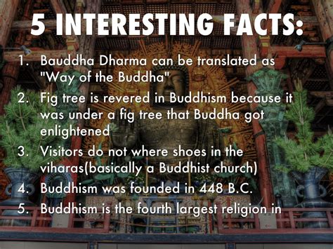 What Are 5 Facts About Buddhism Images And Photos Finder