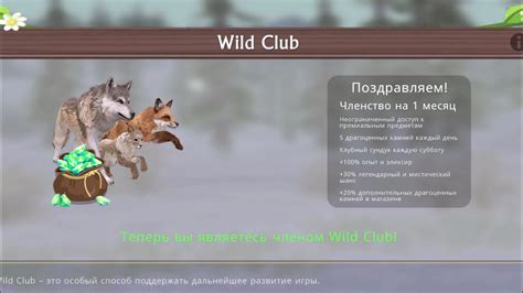 Wildcraft Wild Club Youtube