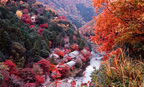 Paul smith is britain's foremost designer. Entranced by the Autumn Colors of Kyoto