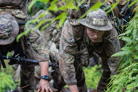 Dvids Images 25th Infantry Division Jungle Operations Training