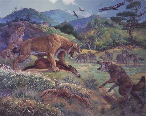 Dire Wolf Prehistoric Animals Smilodon Prehistoric Wildlife