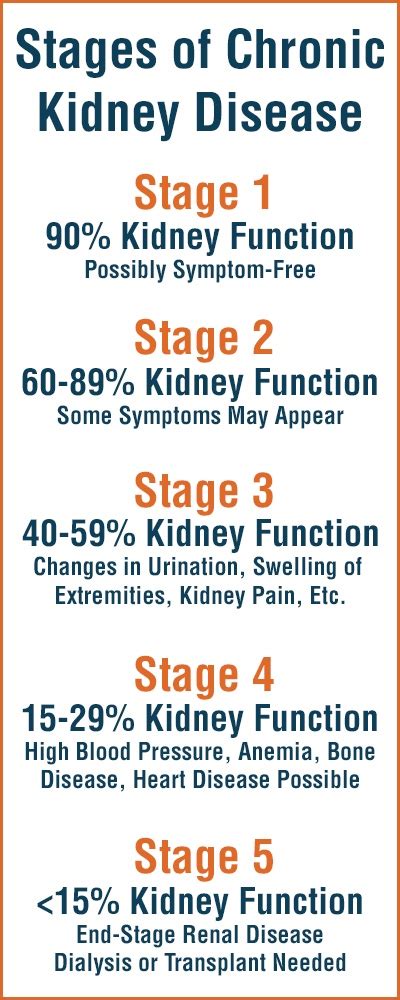 Managing chronic kidney disease in cats can be a daunting task and is often frustrating for owners as well as practitioners and technicians. The Stages of Chronic Kidney Disease