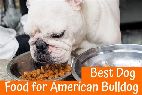 Blue buffalo's healthy weight formula and wellness core's reduced fat. Best Dog Food for American Bulldog Guide in 2018 - US Bones
