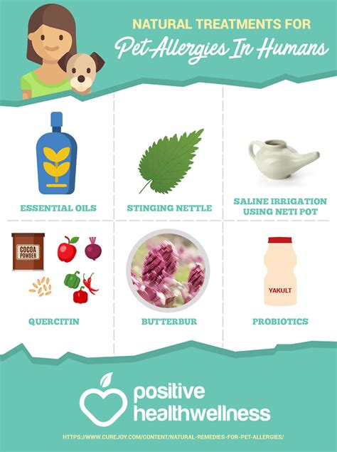 6 Natural Treatments For Pet Allergies In Humans Infographic