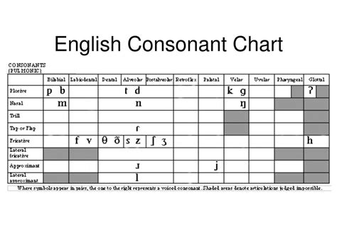 places of articulation in english consonant chart my xxx hot girl