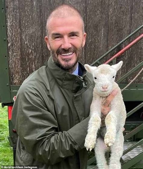 Beaming David Beckham Looks Delighted As He Showcases His Full Head Of