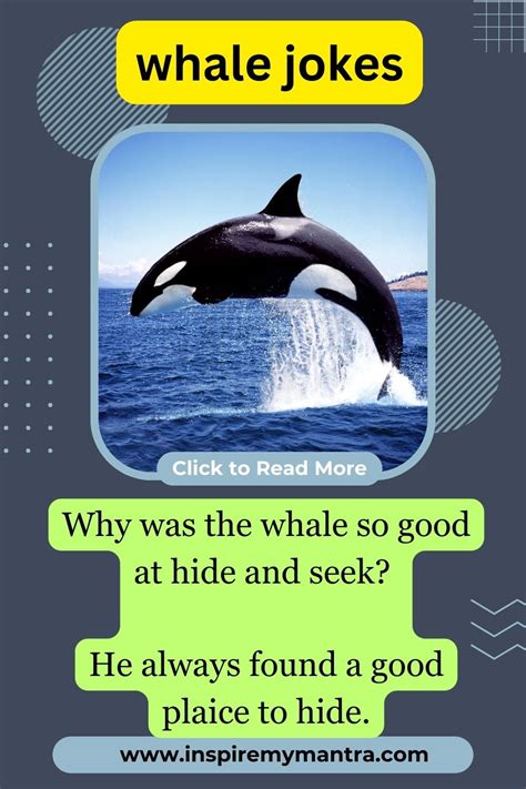 250 Whale Jokes Laughter Deep As The Ocean